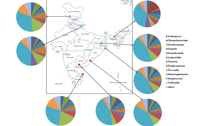 Figure&#x20;representing&#x20;the&#x20;relative&#x20;abundances&#x20;of&#x20;the&#x20;major&#x20;bacterial&#x20;genera&#x20;across&#x20;the&#x20;sampling&#x20;locations