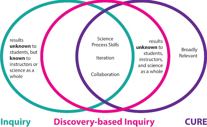 Inquiry-based&#x20;Curriculum