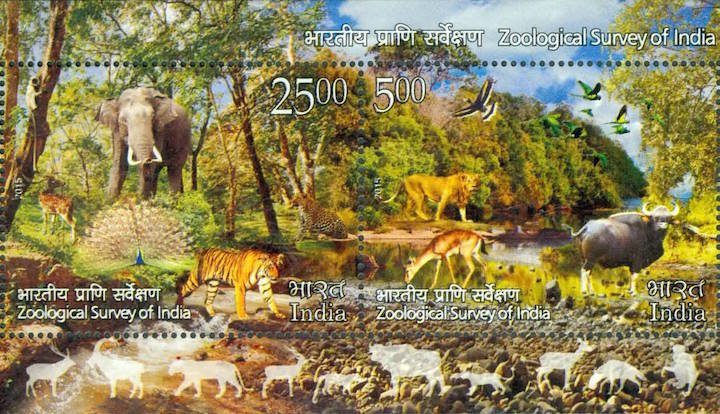 Commemorative&#x20;stamp&#x20;celebrating&#x20;the&#x20;centenary&#x20;of&#x20;ZSI&#x20;