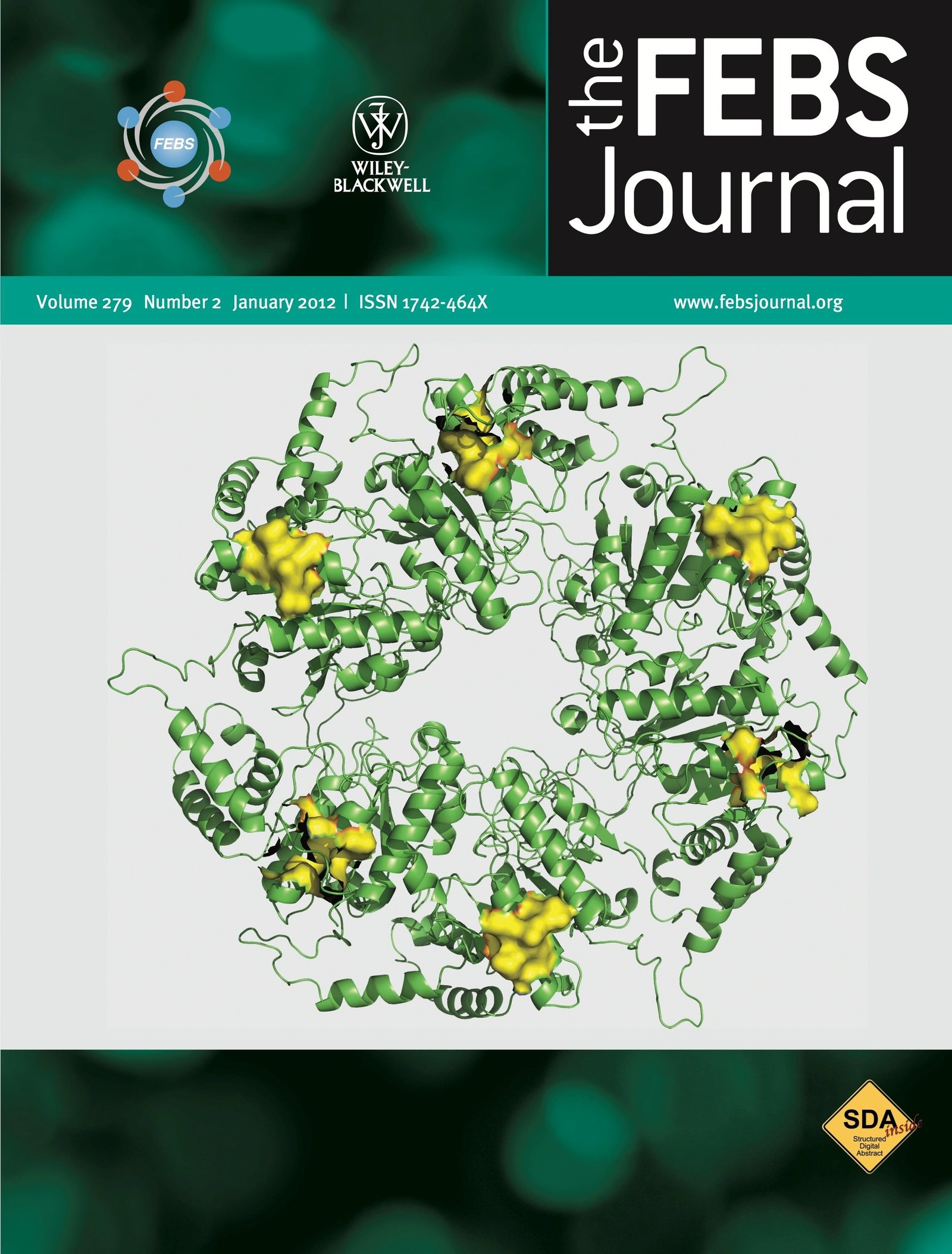 Suman&#x20;Dhar&#x27;s&#x20;work&#x20;on&#x20;the&#x20;cover&#x20;of&#x20;the&#x20;FEBS&#x20;journal