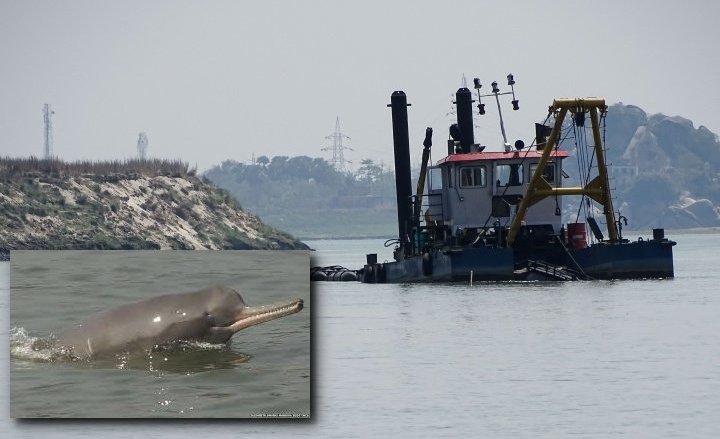 Climate change threatens dolphin habitats in Ganga