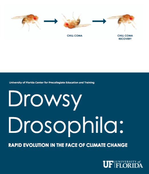 Drowsy&#x20;Drosophila