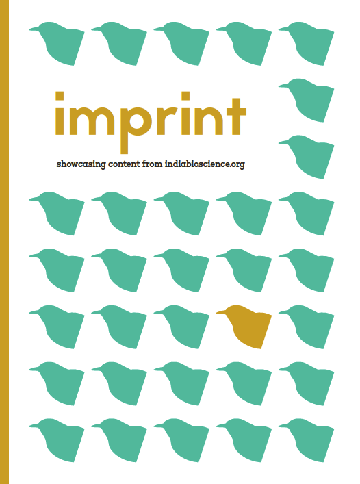 Imprint&#x20;&#x28;Issue&#x20;1&#x29;