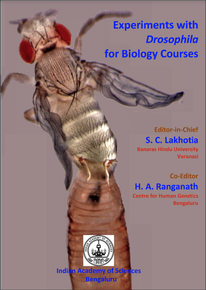 Experiments&#x20;with&#x20;Drosophila&#x20;for&#x20;Biology&#x20;Courses