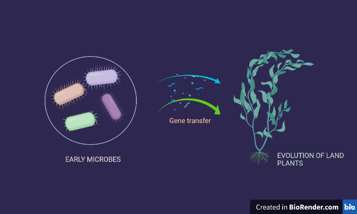 Archaea&#x20;Plants