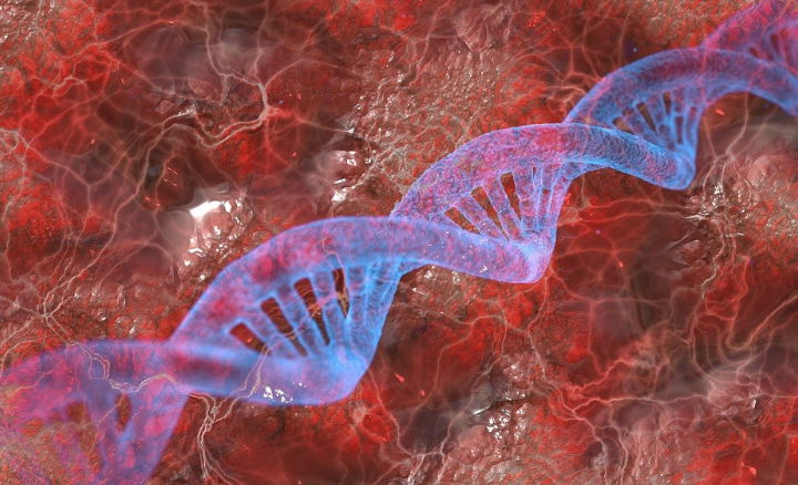 Cell-free&#x20;circulating&#x20;DNA&#x20;inside&#x20;blood&#x20;vessels