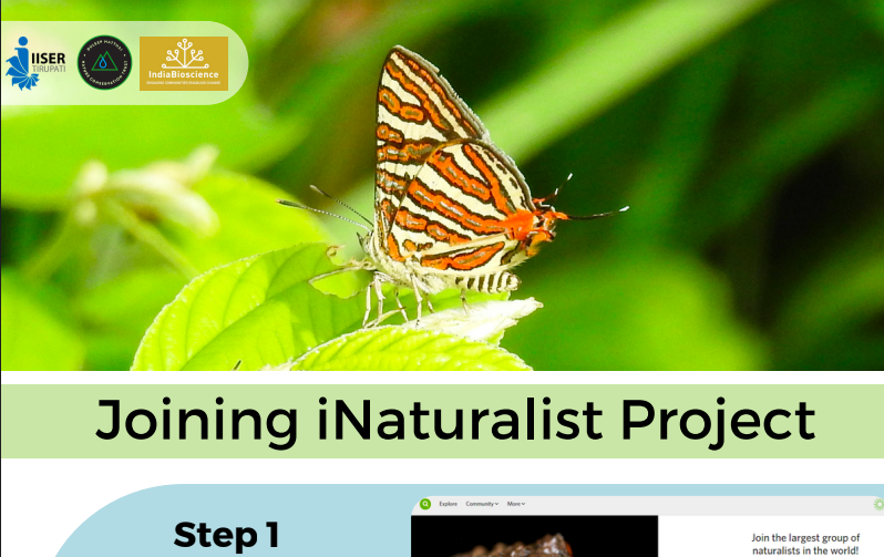 Joining&#x20;project&#x20;on&#x20;iNaturalist