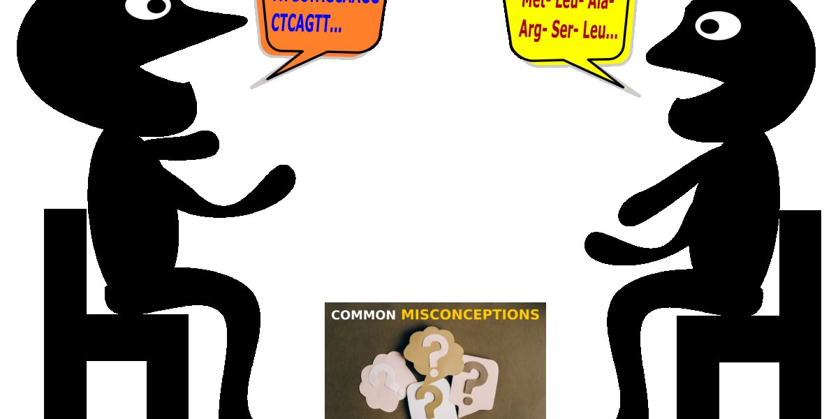 common misconceptions