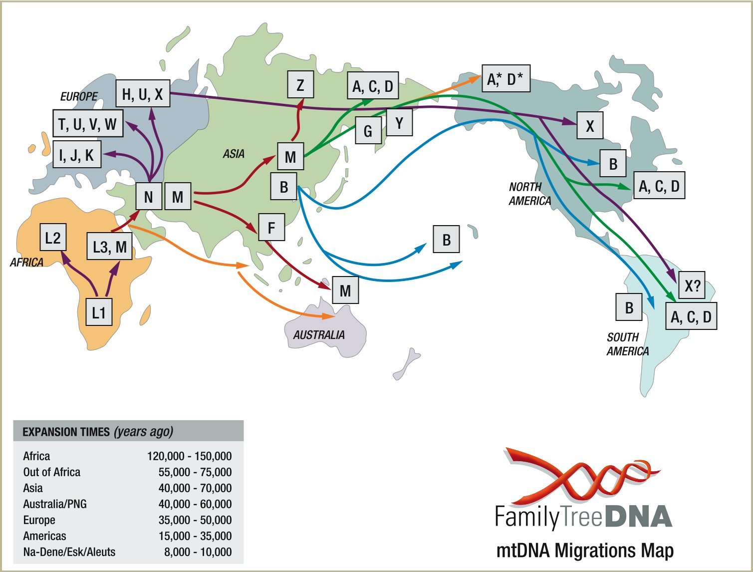 A&#x20;graphical&#x20;representation&#x20;of&#x20;mtDNA&#x20;migration&#x20;patterns&#x20;from&#x20;MITOMAP