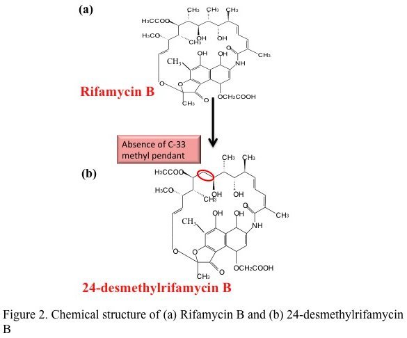 Overcoming Bottlenecks – A New Antibiotic Analog To Treat Tuberculosis ...