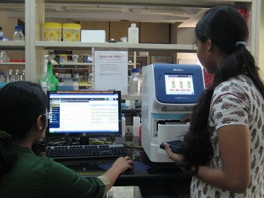 Researchers&#x20;at&#x20;work&#x20;in&#x20;Bushra&#x20;Ateeq&#x27;s&#x20;lab&#x20;at&#x20;IIT&#x20;Kanpur