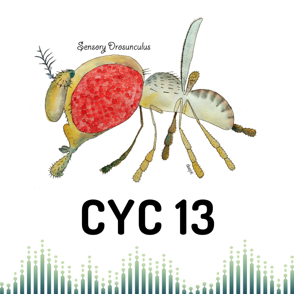 CYC&#x20;podcast&#x20;13
