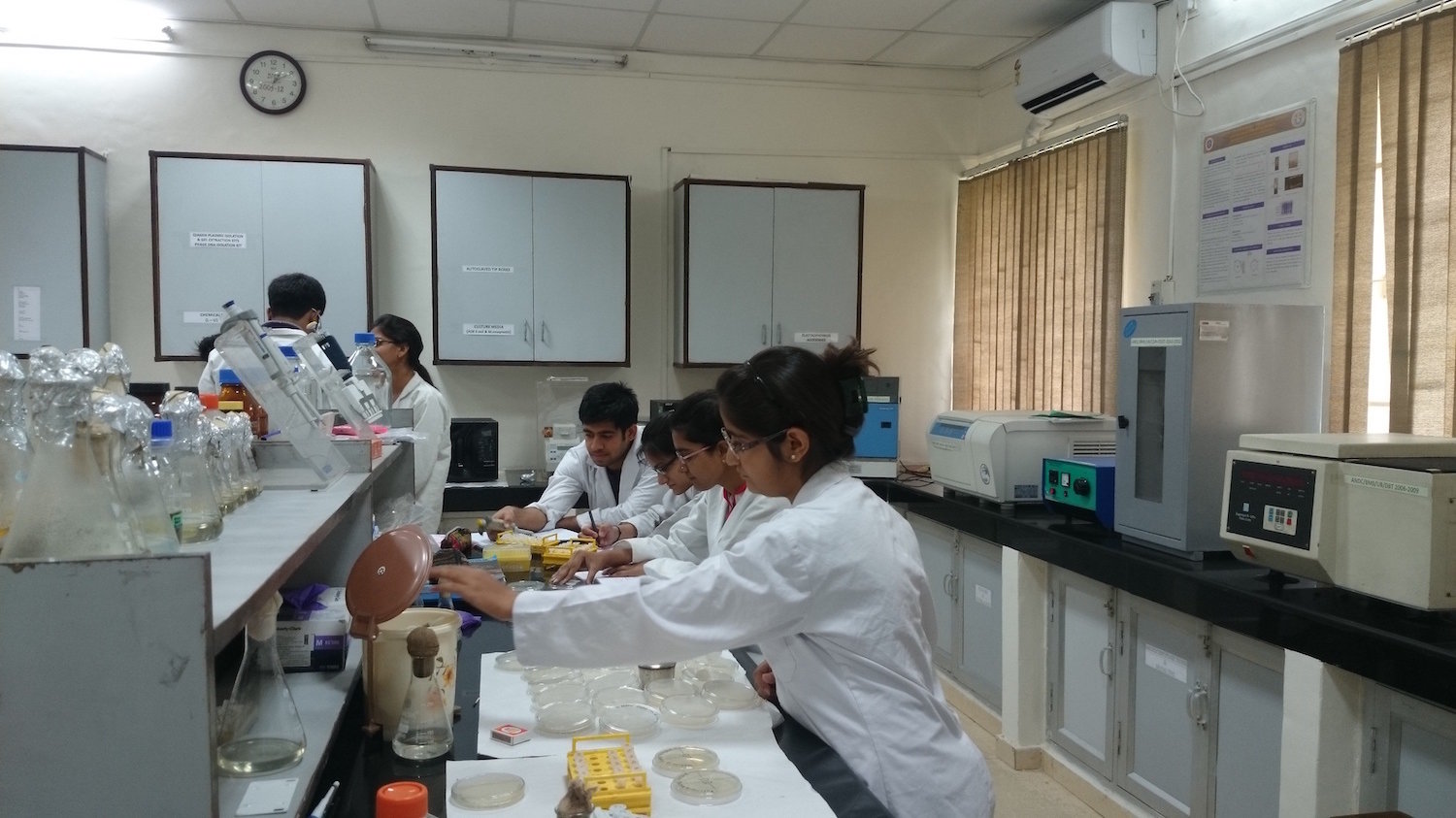 Undergraduate&#x20;lab&#x20;course&#x20;in&#x20;progress&#x3A;&#x20;&quot;isolation&#x20;of&#x20;mycobacteriophages&#x20;from&#x20;soil&#x2F;water&#x20;samples&quot;