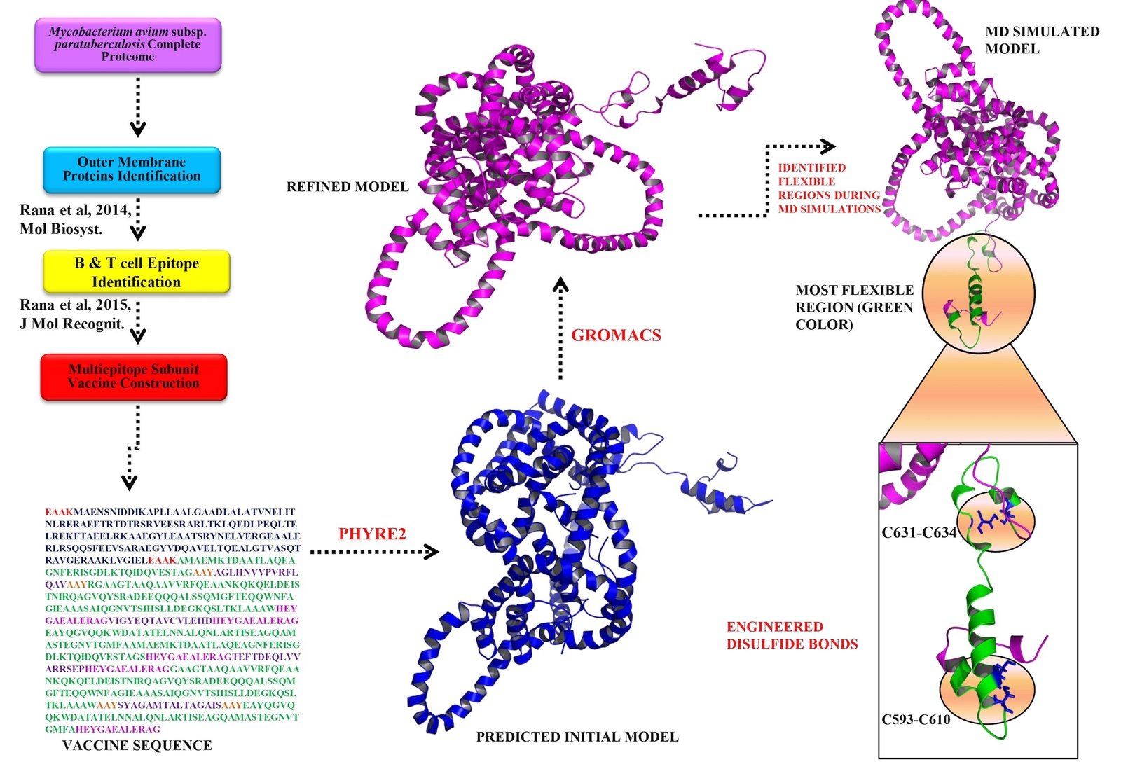 Overall&#x20;strategy&#x20;employed&#x20;for&#x20;designing&#x20;multi-epitope&#x20;subunit&#x20;model&#x20;vaccine