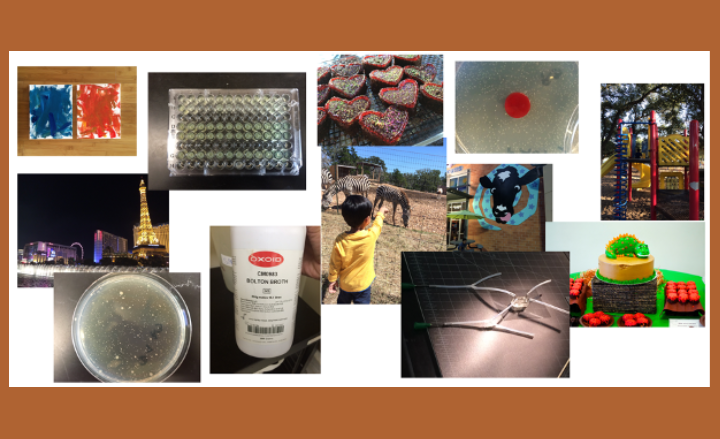 The&#x20;authors&#x2019;&#x20;iPhone&#x20;photos&#x20;from&#x20;when&#x20;a&#x20;PhD&#x20;student&#x20;&#x28;2010-2015&#x29;,&#x20;showing&#x20;the&#x20;bridging&#x20;of&#x20;professional&#x20;&#x28;96-well&#x20;plates,&#x20;agar&#x20;plates,&#x20;reagents&#x29;&#x20;and&#x20;personal&#x20;pursuits&#x20;&#x28;vacations,&#x20;zoo&#x20;and&#x20;park&#x20;visits,&#x20;baking,&#x20;birthday&#x20;parties&#x29;.