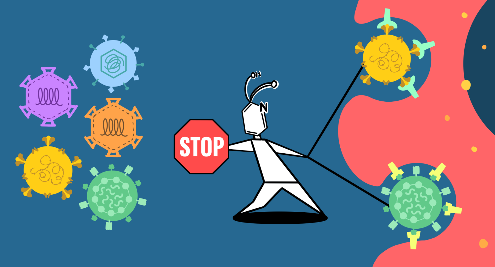 The&#x20;illustration,&#x20;crafted&#x20;by&#x20;Shashank&#x20;Tripathi,&#x20;portrays&#x20;the&#x20;protective&#x20;mechanism&#x20;imparted&#x20;by&#x20;Picolinic&#x20;acid,&#x20;safeguarding&#x20;against&#x20;a&#x20;spectrum&#x20;of&#x20;infectious&#x20;viruses.