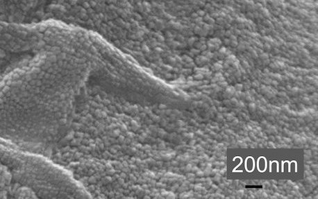 SEM&#x20;images&#x20;of&#x20;silver&#x20;nanopartciles&#x20;coated&#x20;with&#x20;chitosan