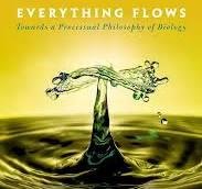 Everything&#x20;flows&#x20;image