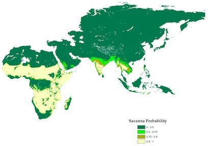 Models&#x20;suggest&#x20;that&#x20;most&#x20;of&#x20;peninsular&#x20;India&#x20;has&#x20;a&#x20;bio-climate&#x20;that&#x20;supports&#x20;savannahs.&#x20;However,&#x20;colonial-era&#x20;vegetation&#x20;classifications&#x20;of&#x20;the&#x20;region&#x20;have&#x20;&#x20;left&#x20;us&#x20;with&#x20;a&#x20;problematic&#x20;forest-centric&#x20;legacy&#x20;of&#x20;vegetation&#x20;nomenclature.