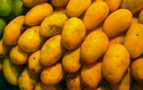 Dasheri&#x20;mangoes