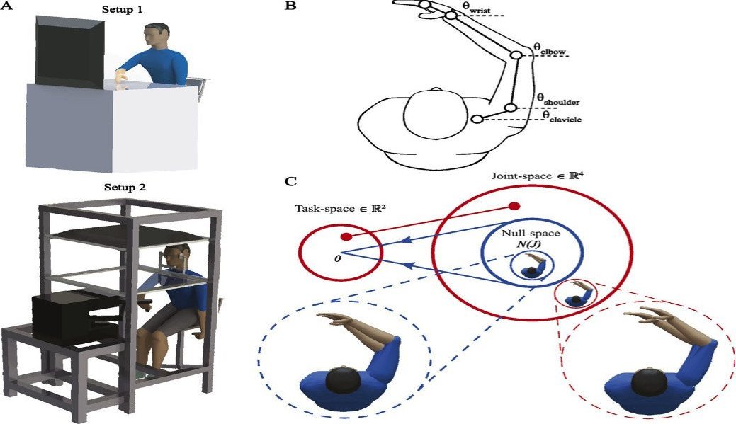 The&#x20;experimental&#x20;setup&#x20;authors&#x20;used&#x20;to&#x20;measure&#x20;redundancy&#x20;in&#x20;arm&#x20;movements&#x20;of&#x20;the&#x20;subjects