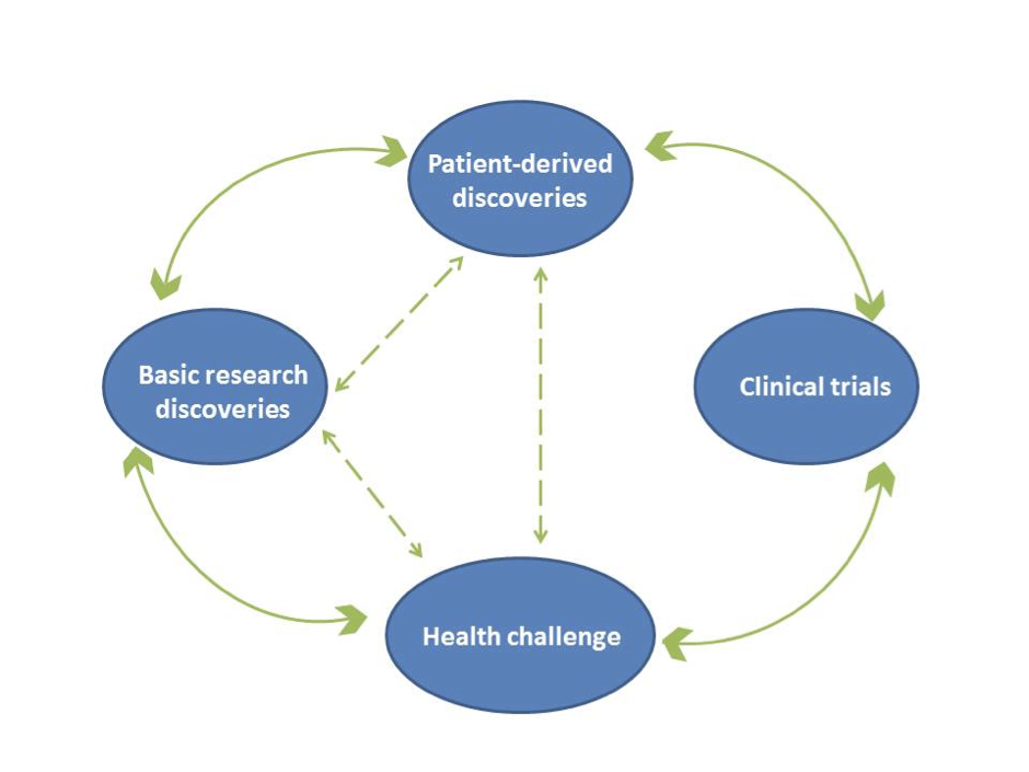 Translational&#x20;tadka&#x20;flow&#x20;chart