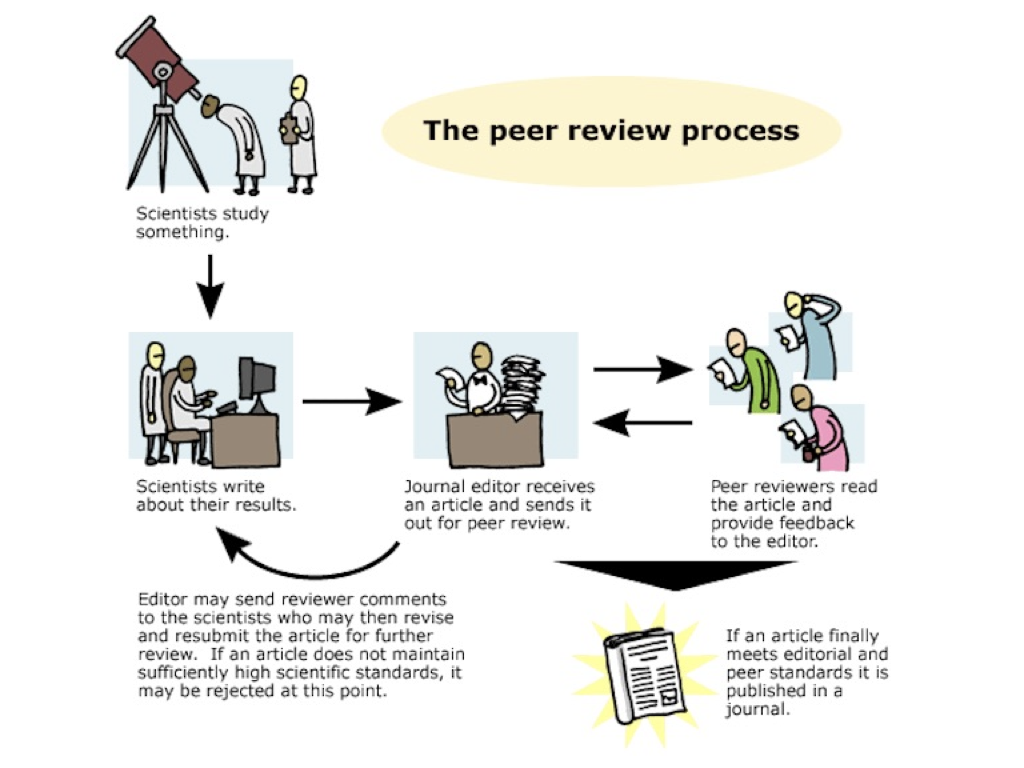 Peer&#x20;Review&#x20;process