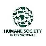 Humane&#x20;Society&#x20;International&#x20;logo