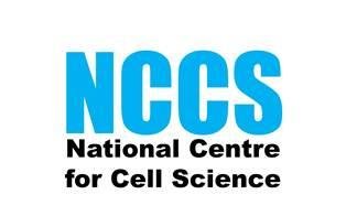 NCCS&#x20;logo