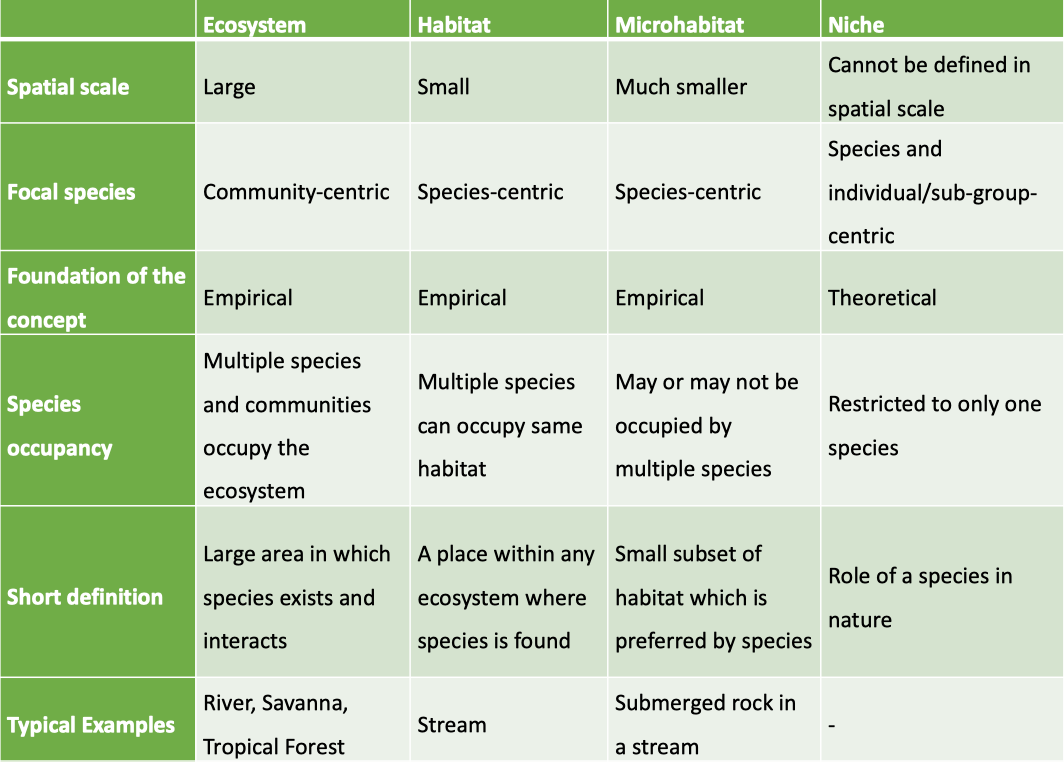 Difference Between A Niche And Habitat Online | blog.websoft9.com