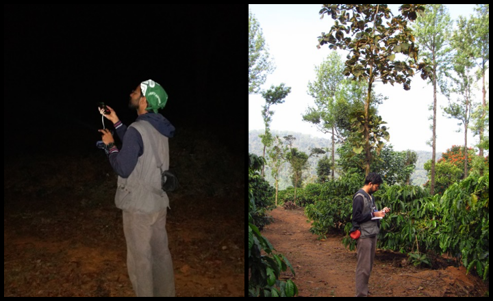 Researchers collecting data on bat calls (left) and plantation vegetation (right)