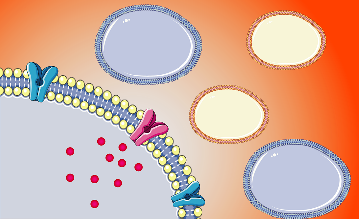 synthetic biology