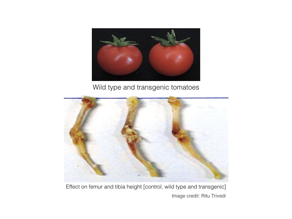 Comparisons.jpg#asset:5010