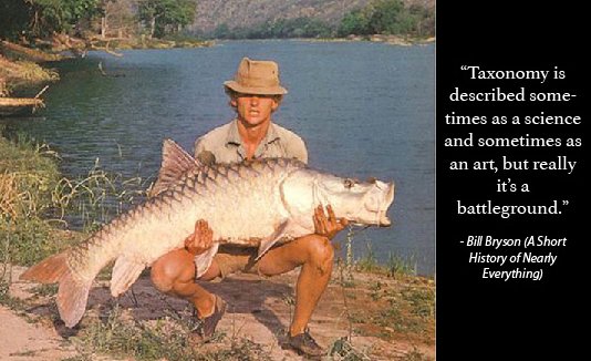 Martin Clark with a hump-backed mahseer of 92lb captured from the middle Cauvery in 1978