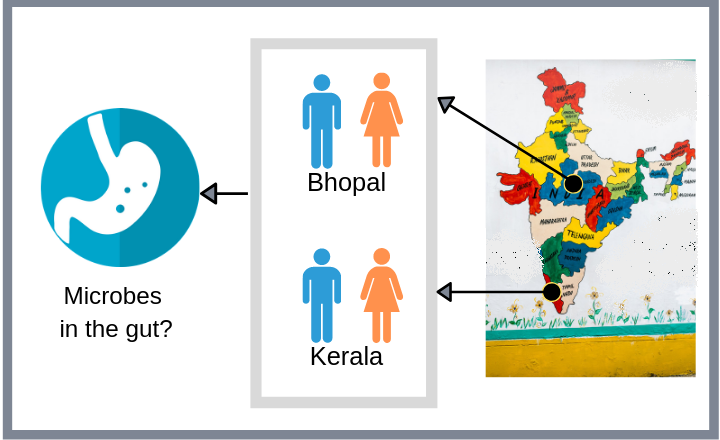 Gut Instinct: how diets shape the unique composition of Indian guts
