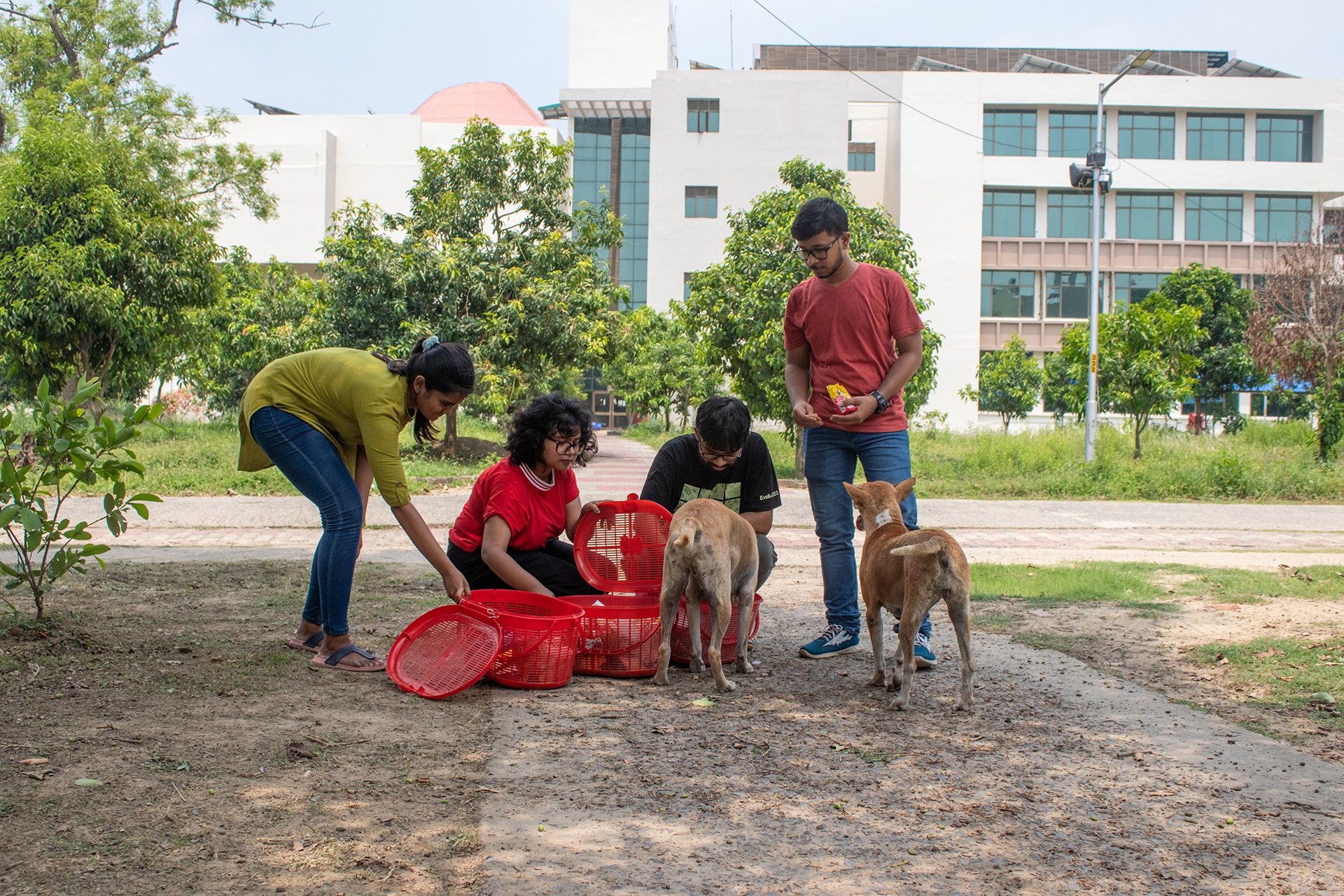 The researchers are collecting the mock dustbin boxes after finishing a set of experiments. People in the photo (from L-R): Debolina Sen, Hindolii Gope, Rohan Sarkar, Tuhin Subhra Pal. Picture credits: The Dog lab, IISER Kolkata