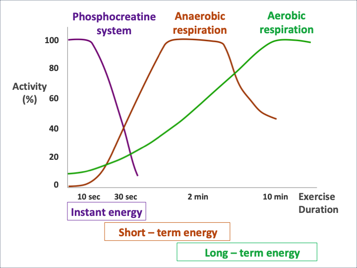 Common Misconceptions In Biology What Fuels The Body Indiabioscience