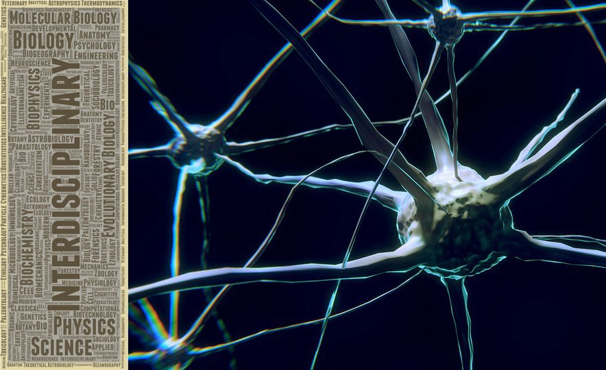 Understanding the forces that shape the brain