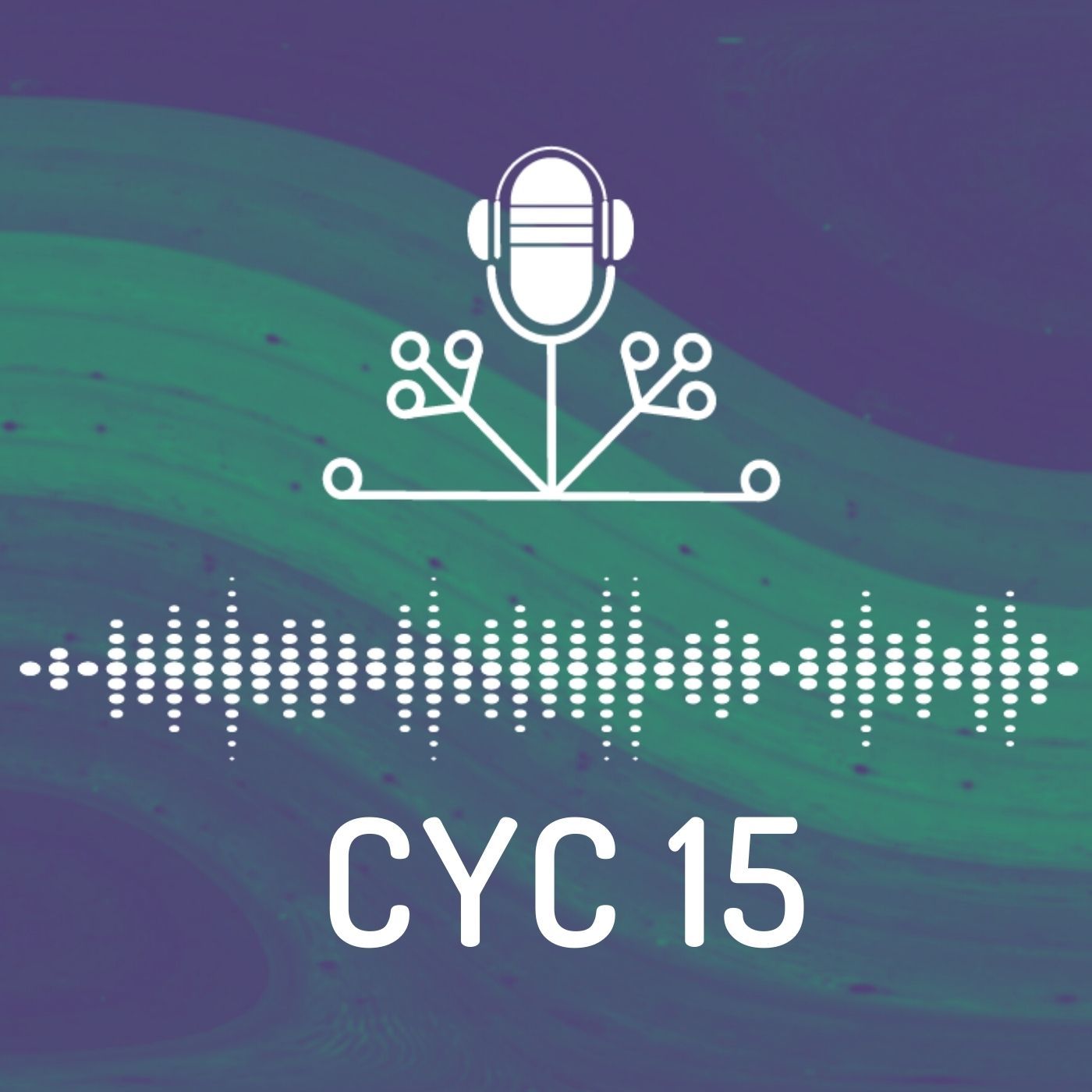 CYC 15