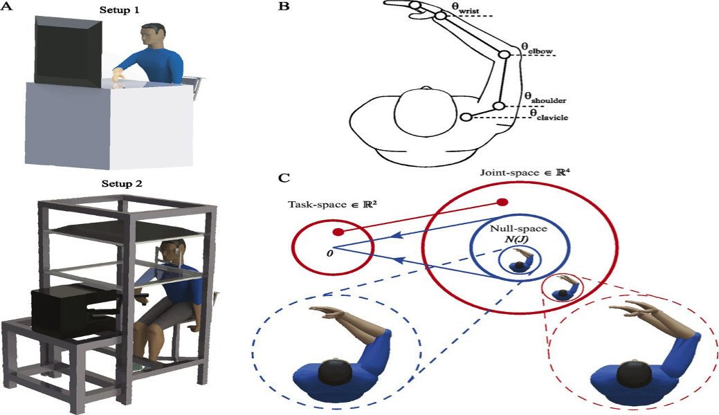 The experimental setup authors used to measure redundancy in arm movements of the subjects