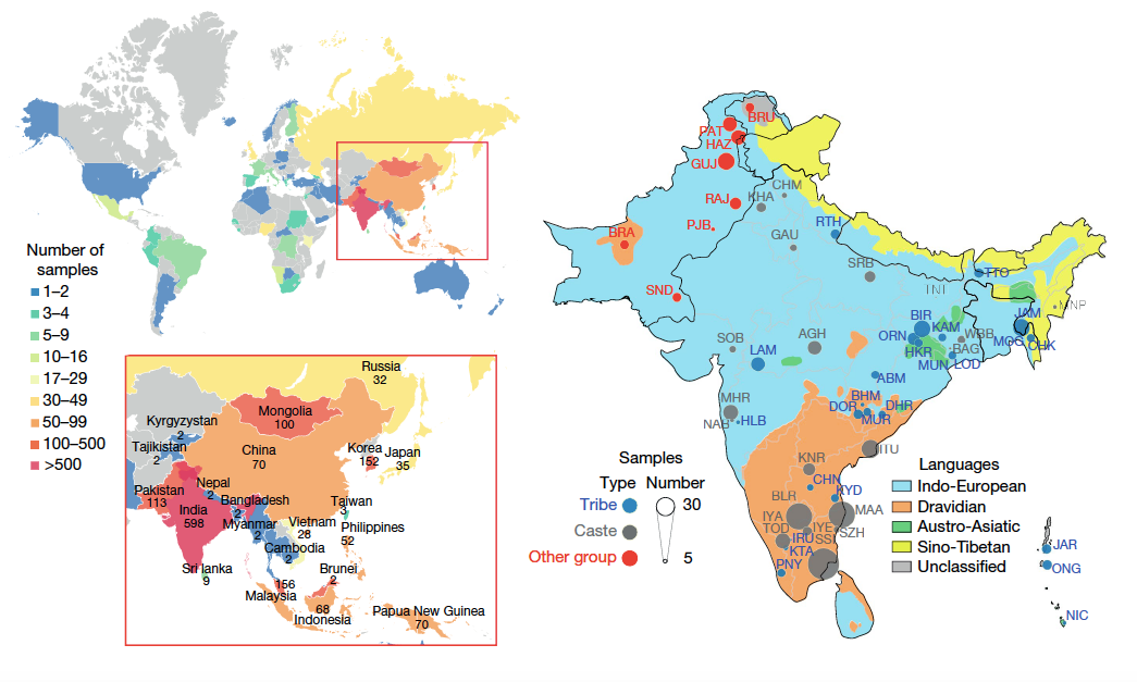 Sample Distribution - Genome Asia