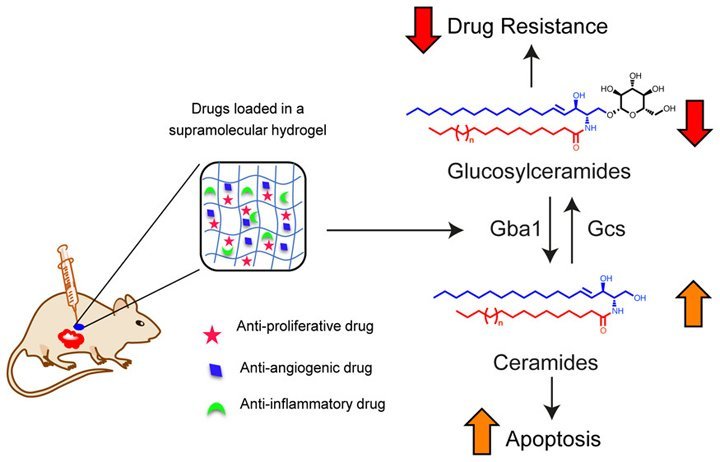 TRI-Gel Graphical Abstract