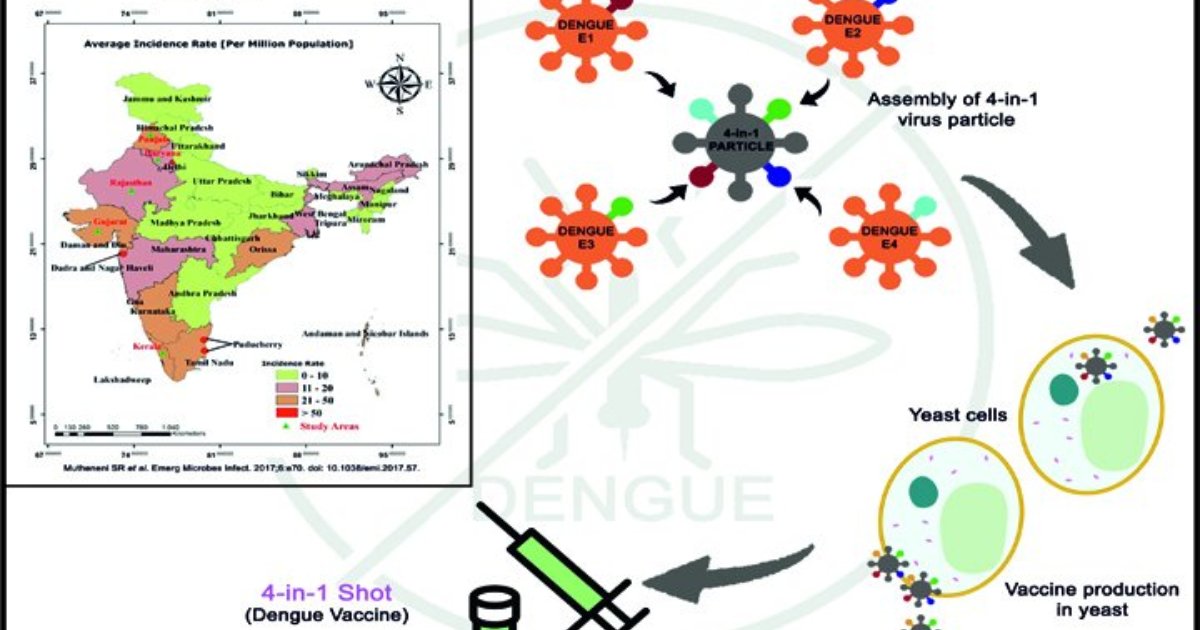 A "4-in-1” approach for a dengue vaccine - IndiaBioscience