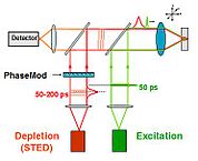 STED microscopy