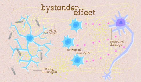 Schematic depiction of the "bystander effect"