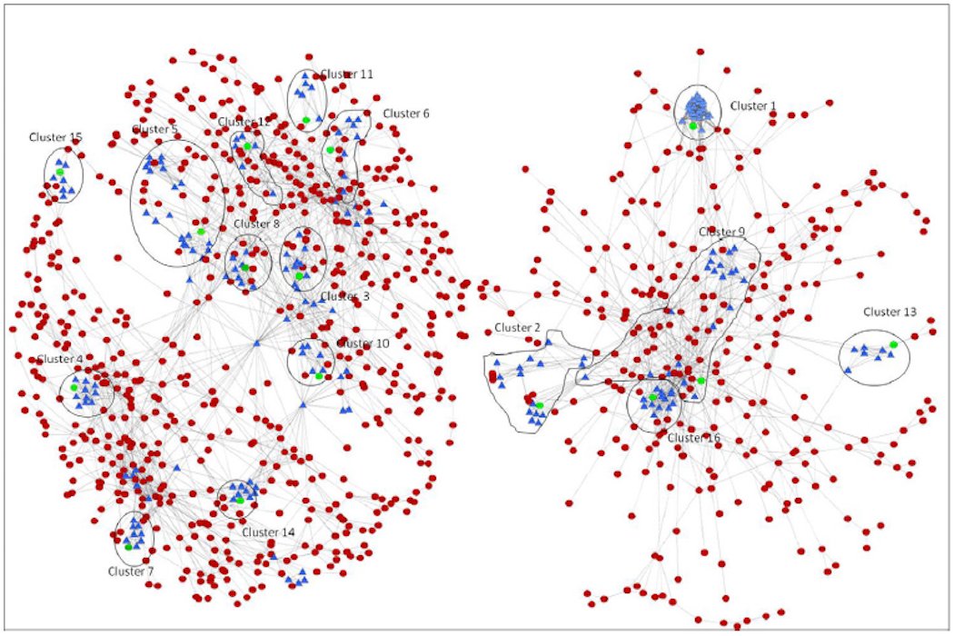 Protein interaction networks