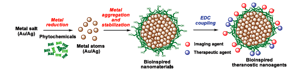 Graphical representation of the process of bio-inspired synthesis of nanoparticles (Credit: Jayeeta Bhaumik)