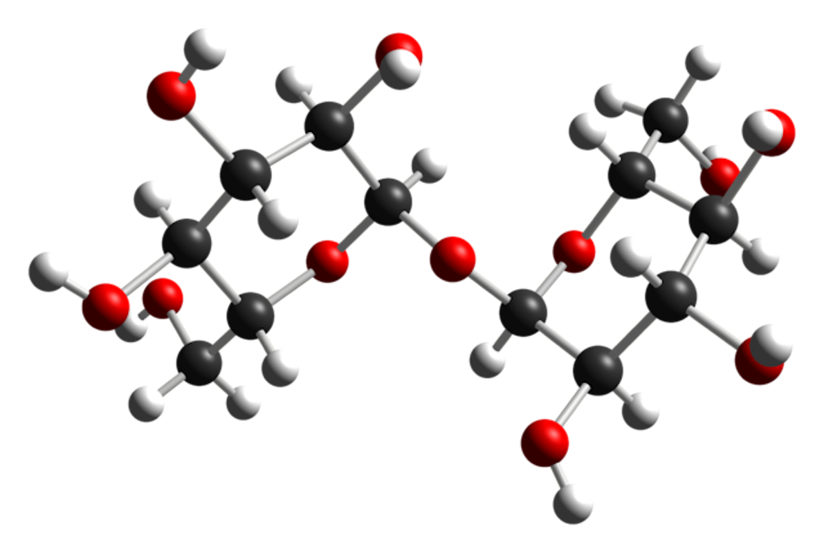 Ball and stick model of the trehalose molecule