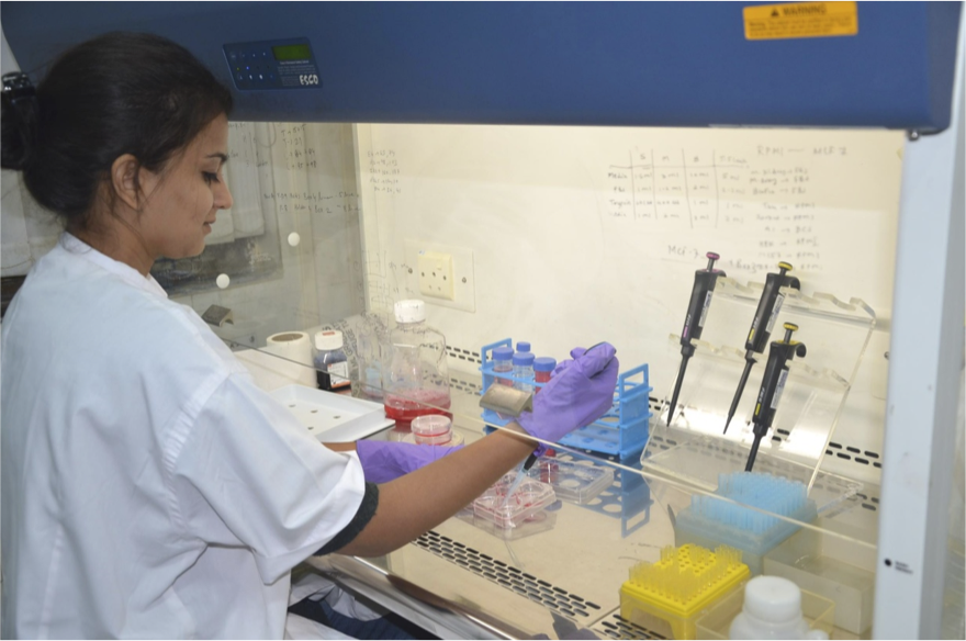 Researcher at work