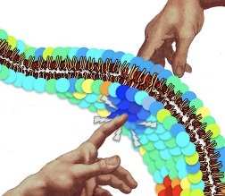 Graphic representation of communication across the cell membrane